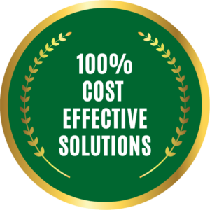 100 Cost Effective Solutions Badge 2