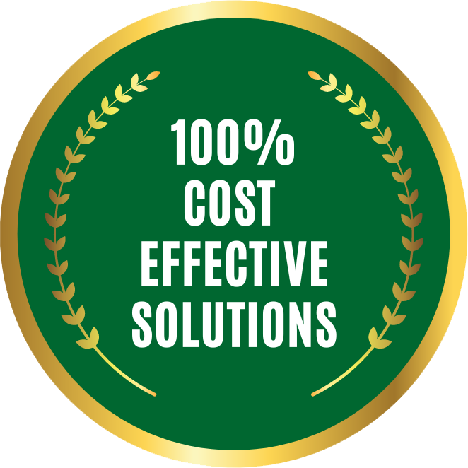 100 Cost Effective Solutions Badge 2